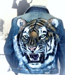 Tiger auf Jeansjacke gemalt Auftragsmalerei Malerei Kunst München Anja Frackmann Painting