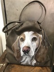 Beagle auf Shoppingbag Auftragsmalerei Malerei Kunst München Anja Frackmann Painting