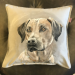 Ridgeback auf Sofakissen Kunst Auftragsmalerei Malerei Kunst München Anja Frackmann Painting