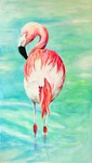 Porträt Flamingo im Wasser  Auftragsmalerei München Tierportrait Tier malen lassen Anja Frackmann