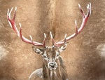 Porträt Hirsch auf Kuhfell  Auftragsmalerei München Tierportrait Tier malen lassen Anja Frackmann