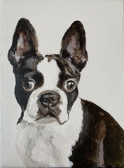 französische Bulldogge Bulli  Tierportrait Auftragsmalerei Bild malen lassen Anja Frackmann