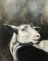 Schaf Kopf  Tierportrait Auftragsmalerei Bild malen lassen Anja Frackmann