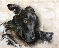 süßer Hund  Tierportrait Auftragsmalerei Bild malen lassen Anja Frackmann